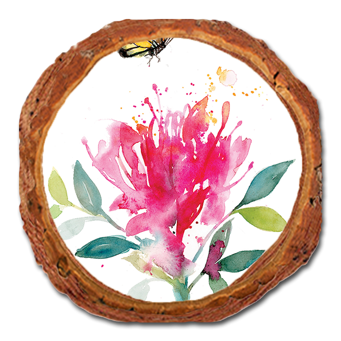Coaster: Live Edge - Henning's Butterfly & Bloom (Pack of 5)