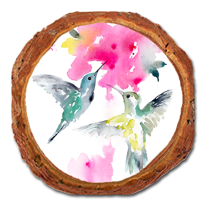 Coaster: Live Edge - Henning's Flying Loose (Pack of 5)