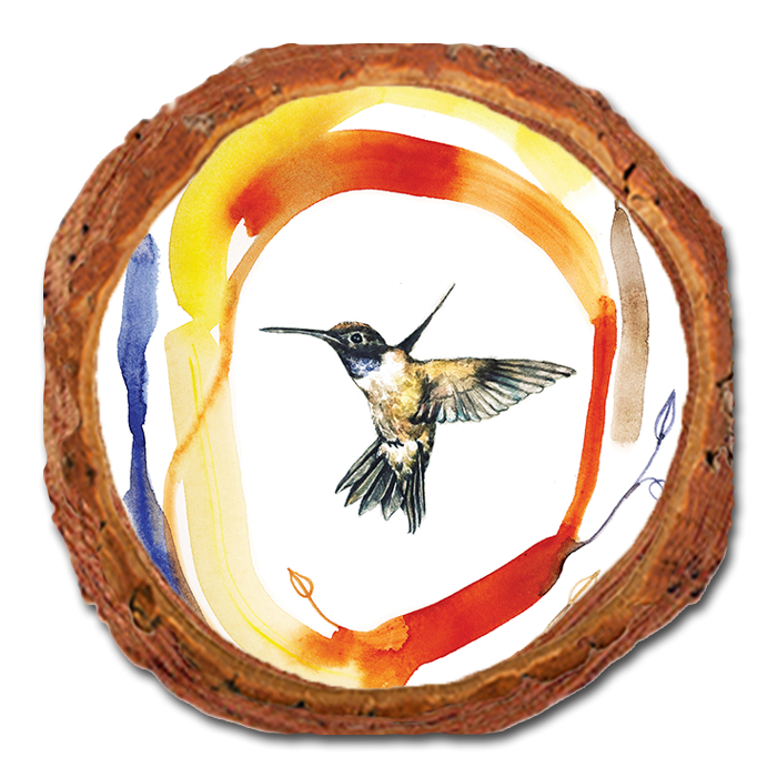 Coaster: Live Edge - Henning's Hummingbird Circle (Pack of 5)