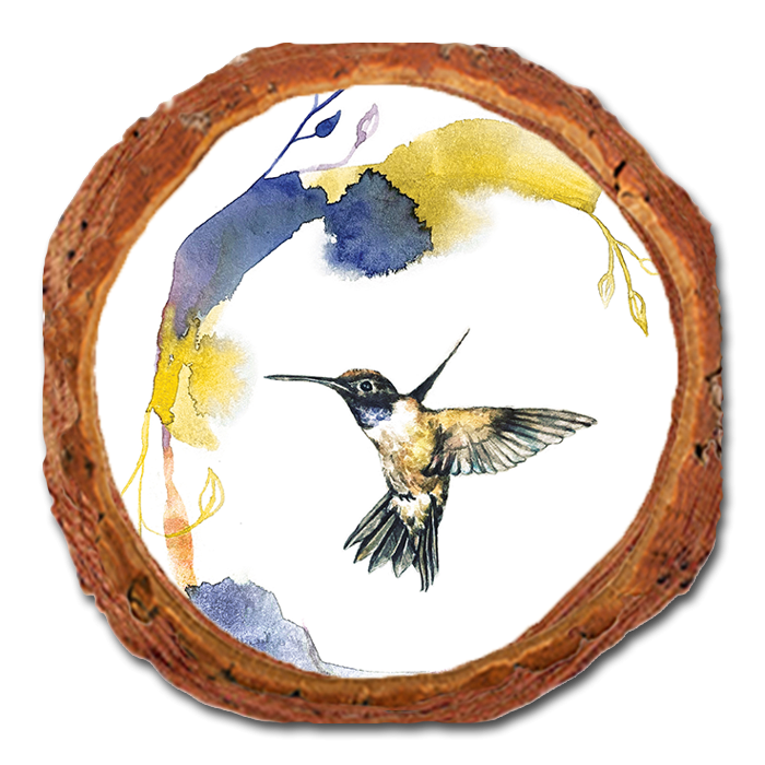 Coaster: Live Edge - Henning's Left Flight Crescent (Pack of 5)
