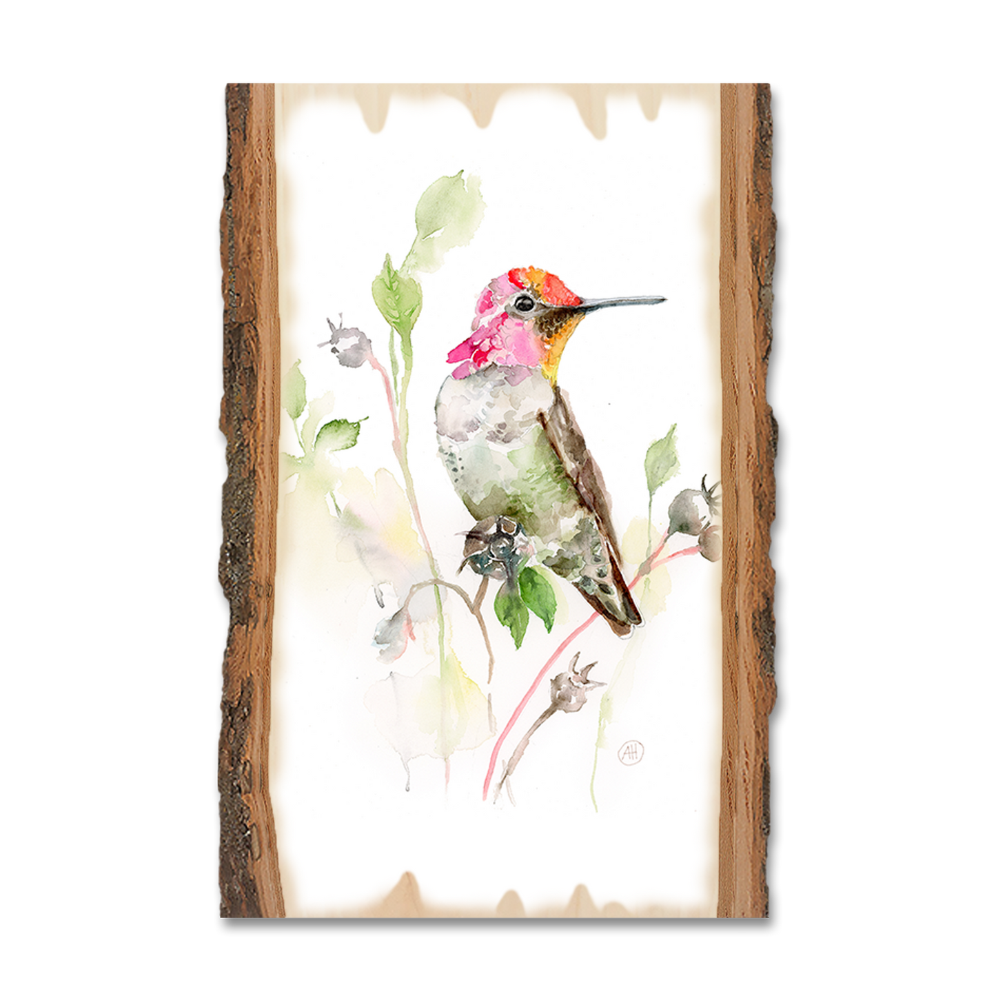 Greeting Card: Live Edge - Henning's Marvins Hummer