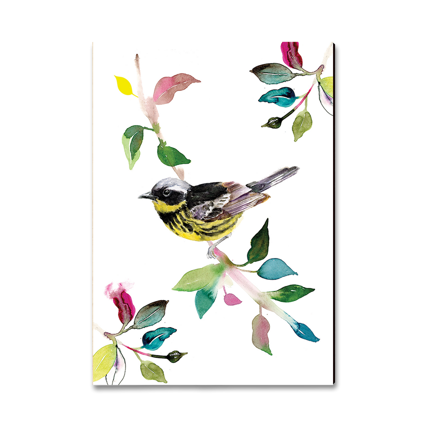 Magnet: Classic Edge - Henning's Magnolia Warbler