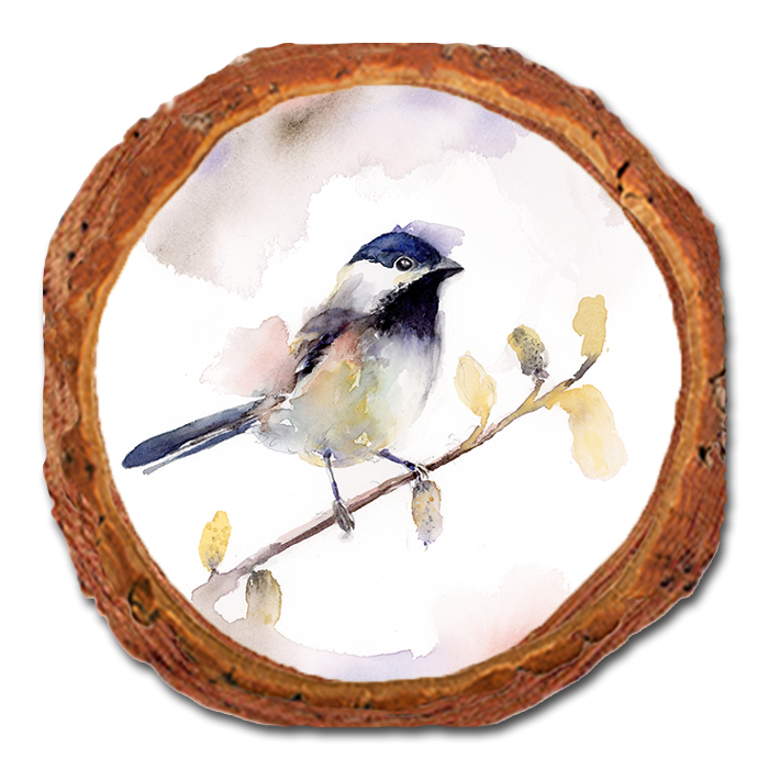 Coaster: Live Edge - Henning's One Black Cap (Pack of 5)