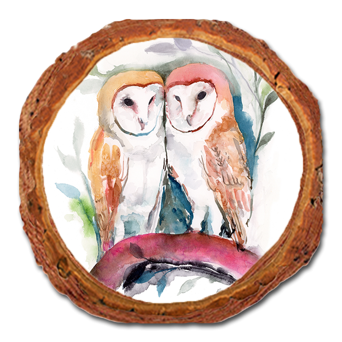 Coaster: Live Edge - Henning's Owl Love (Pack of 5)