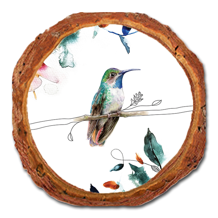 Coaster: Live Edge - Henning's One Pollinator (Pack of 5)