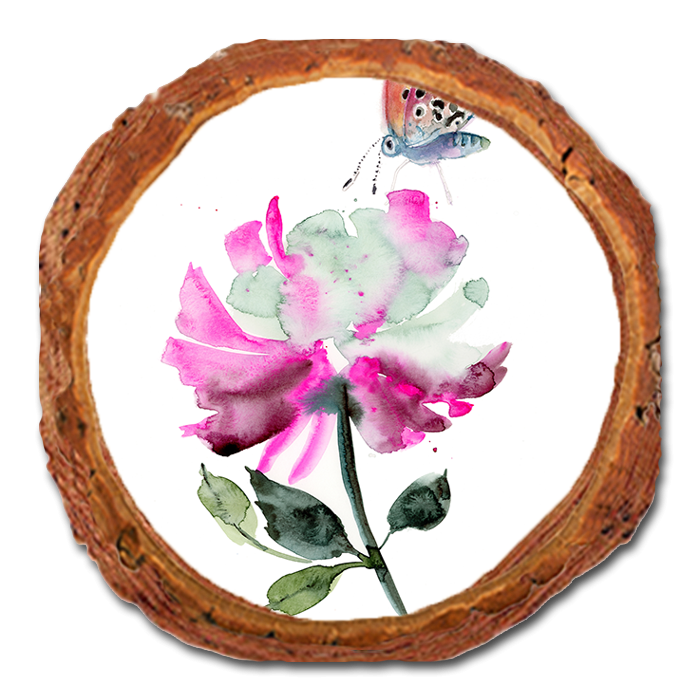 Coaster: Live Edge - Henning's Purple Flower Butterfly (Pack of 5)
