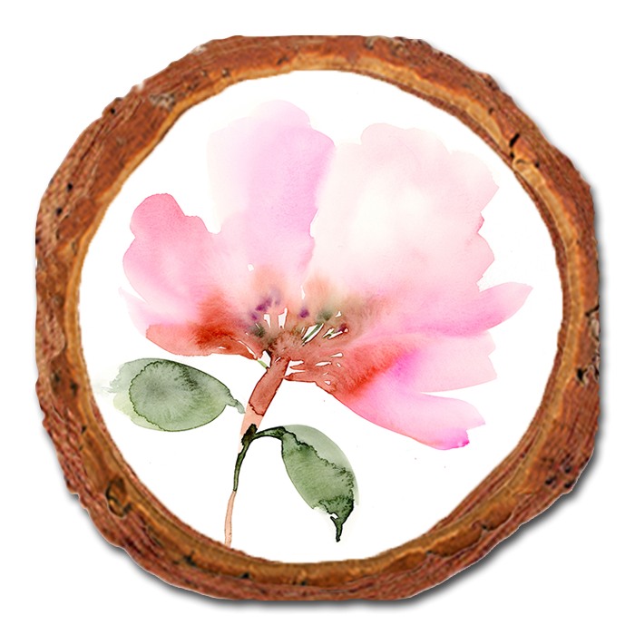 Coaster: Live Edge - Henning's Pink Flower Moth (Pack of 5)