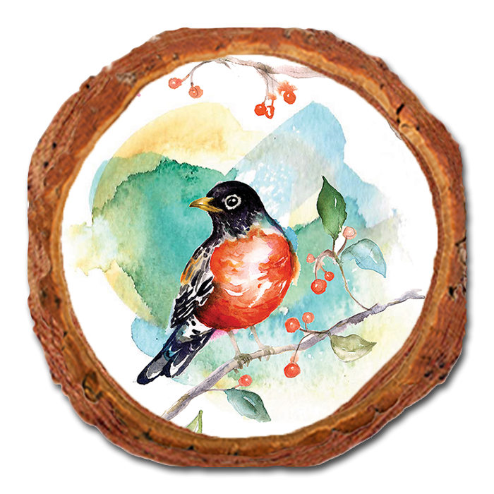 Coaster: Live Edge - Henning's Robin & Berry (Pack of 5)