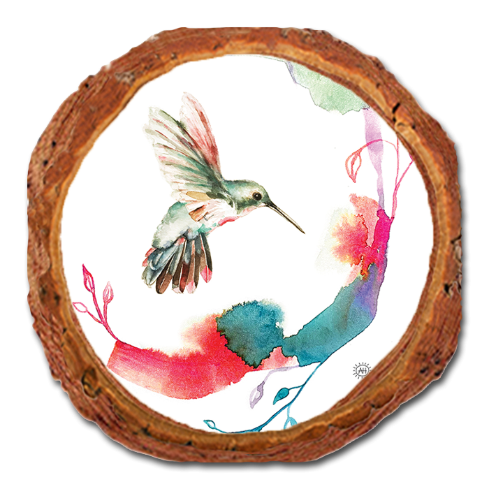 Coaster: Live Edge - Henning's Right Flight Crescent (Pack of 5)