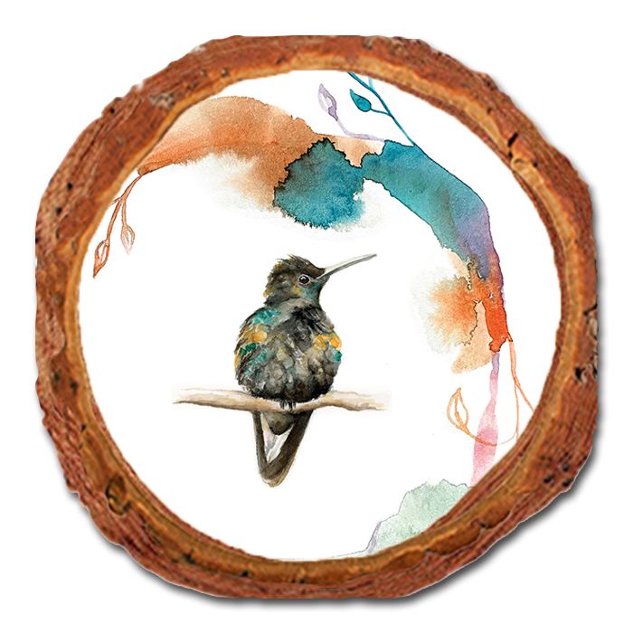 Coaster: Live Edge - Henning's Sitting Crescent (Pack of 5)