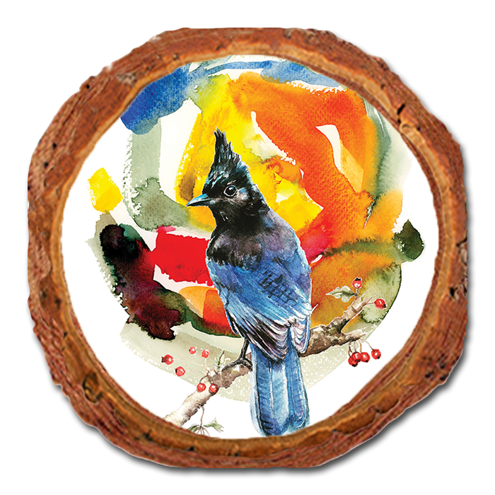 Coaster: Live Edge - Henning's Steller Color (Pack of 5)