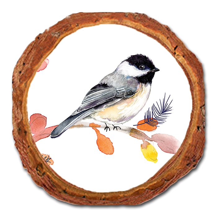 Coaster: Live Edge - Henning's Three Branch Chickadee (Pack of 5)