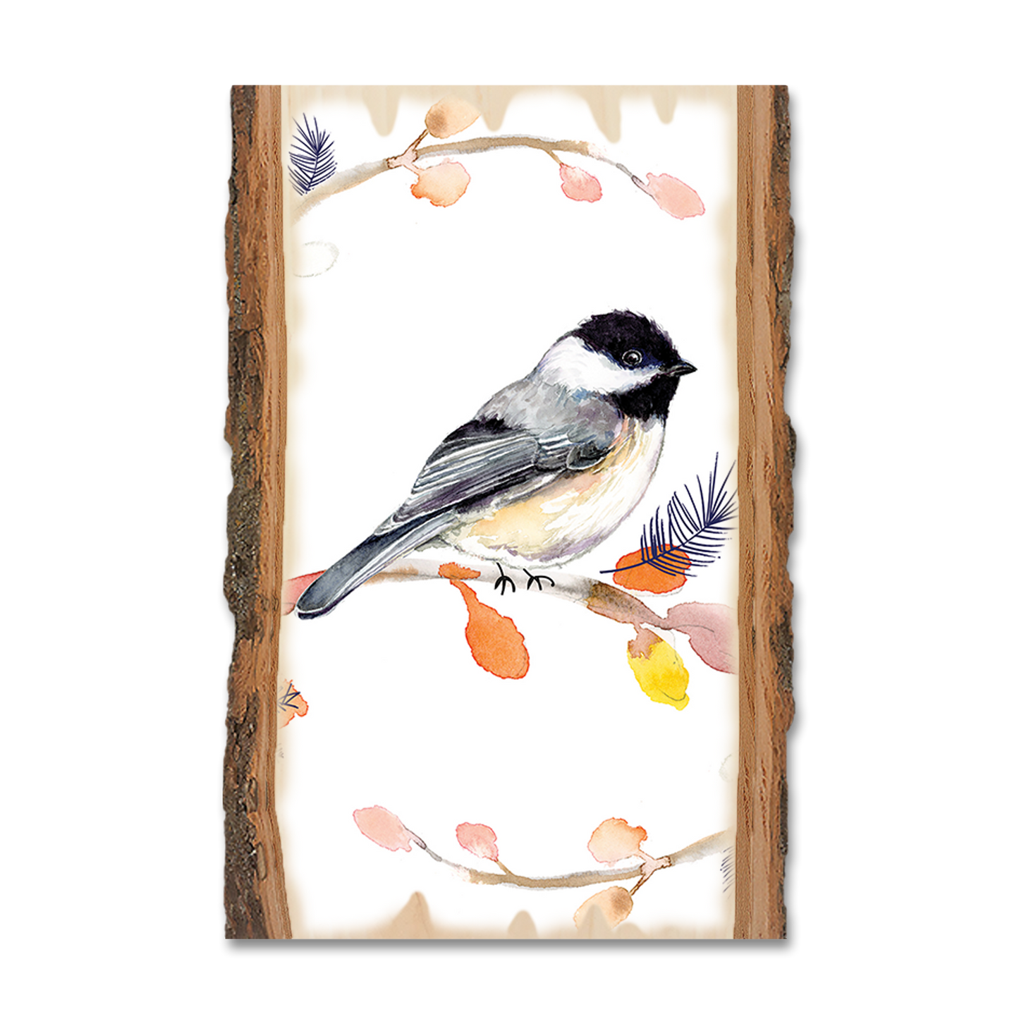 Postcard: Live Edge - Henning's Three Branch Chickadee