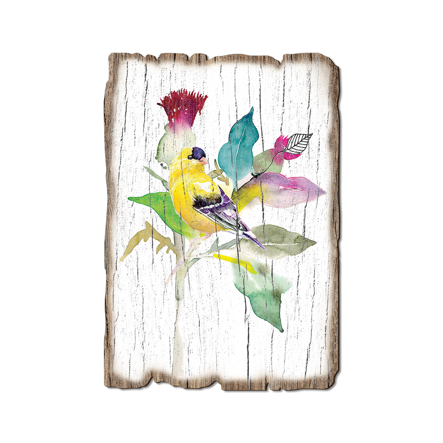 Greeting Card: Weathered Edge - Henning's Thistle Finch (Pack of 5)
