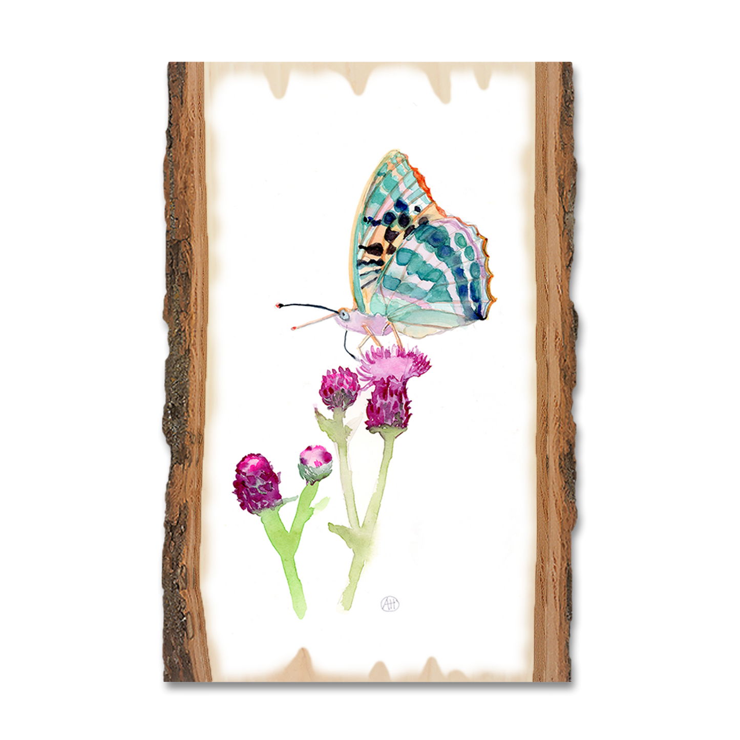 Greeting Card: Live Edge - Henning's Thistle Moth