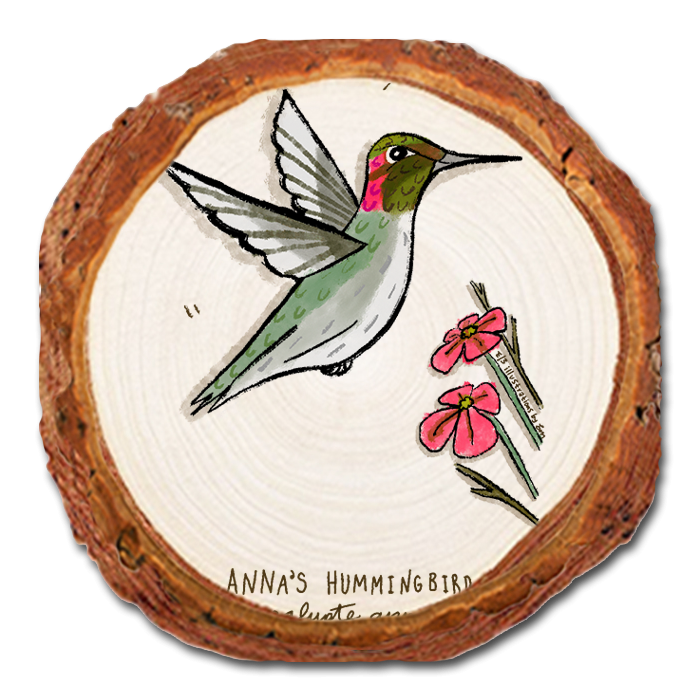 Coaster: Live Edge - Anna's Hummingbird (Pack of 5)