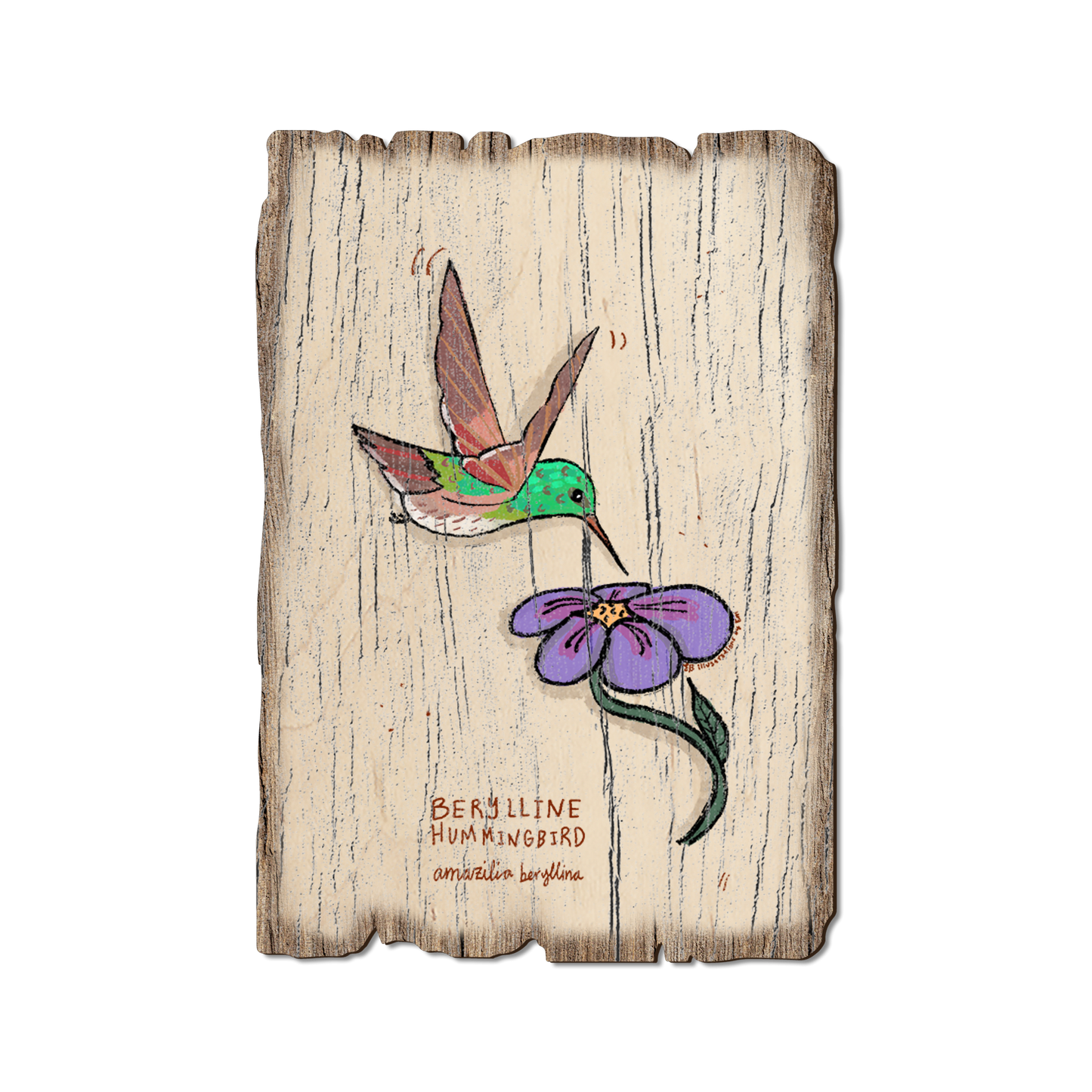 Ornament: Weathered Edge - Berylline Hummingbird (Pack of 5)