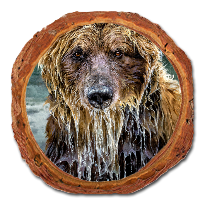 Coaster: Live Edge - Marris' Bad Day Fishing (Pack of 5)
