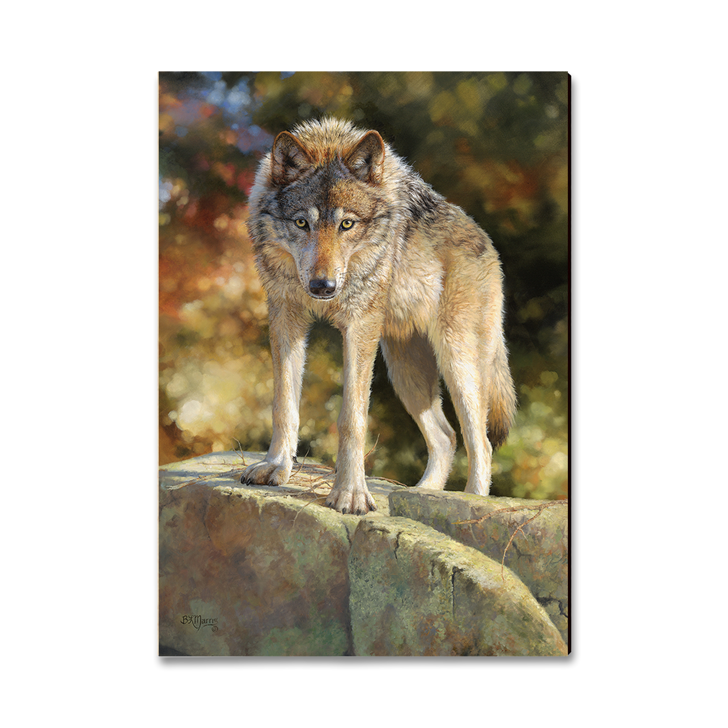 Ornament: Classic Edge - Marris' Eye to Eye