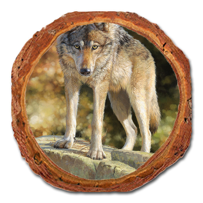 Coaster: Live Edge - Marris' Eye to Eye