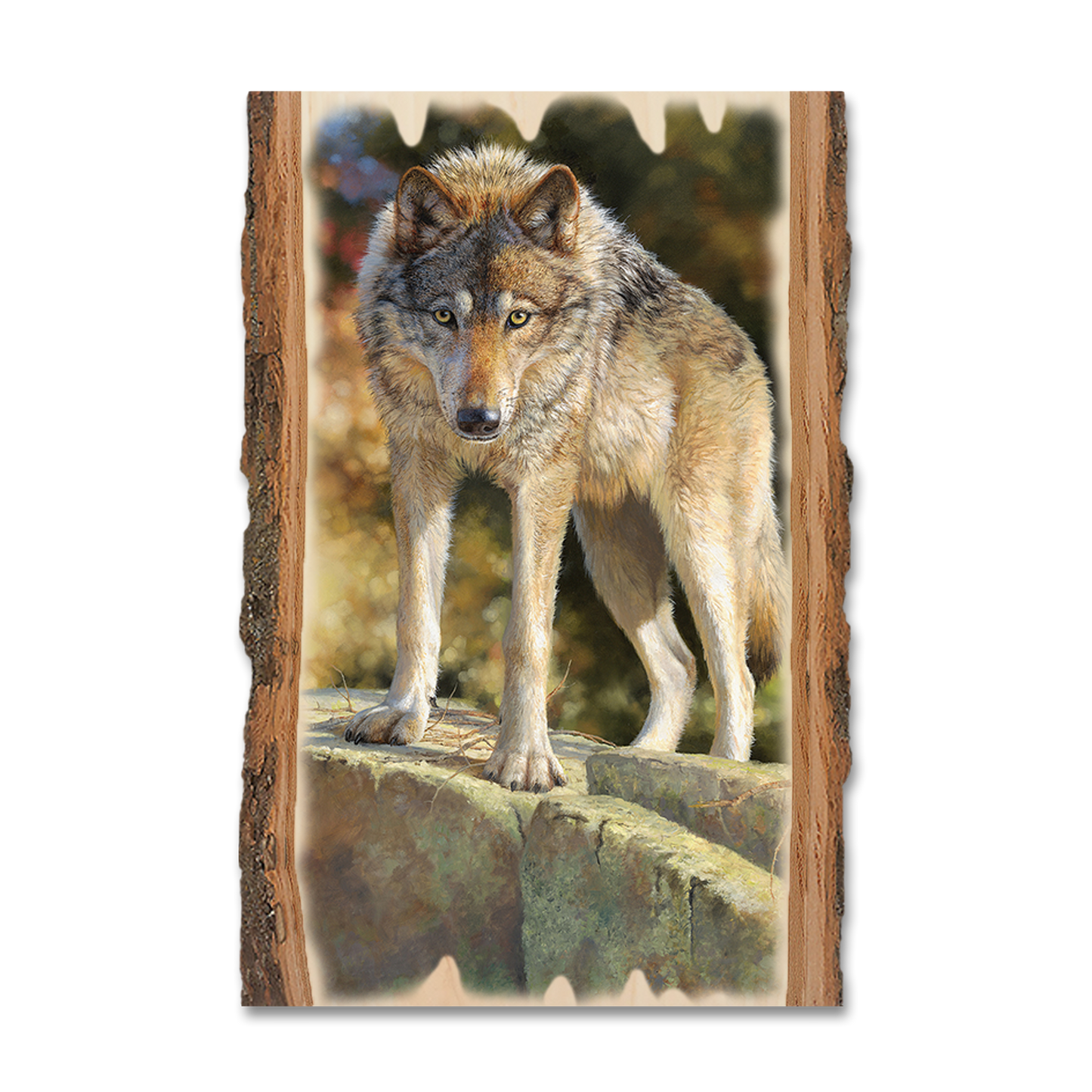 Greeting Card: Live Edge - Marris' Eye to Eye