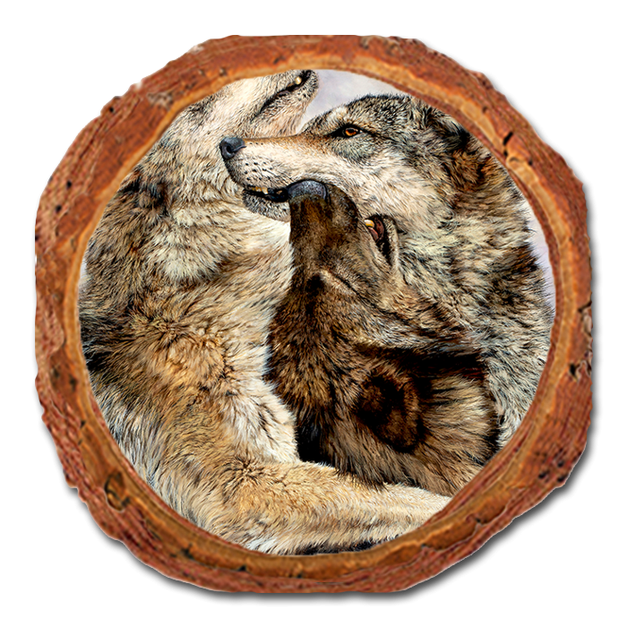 Coaster: Live Edge - Marris' Family Reunion (Pack of 5)