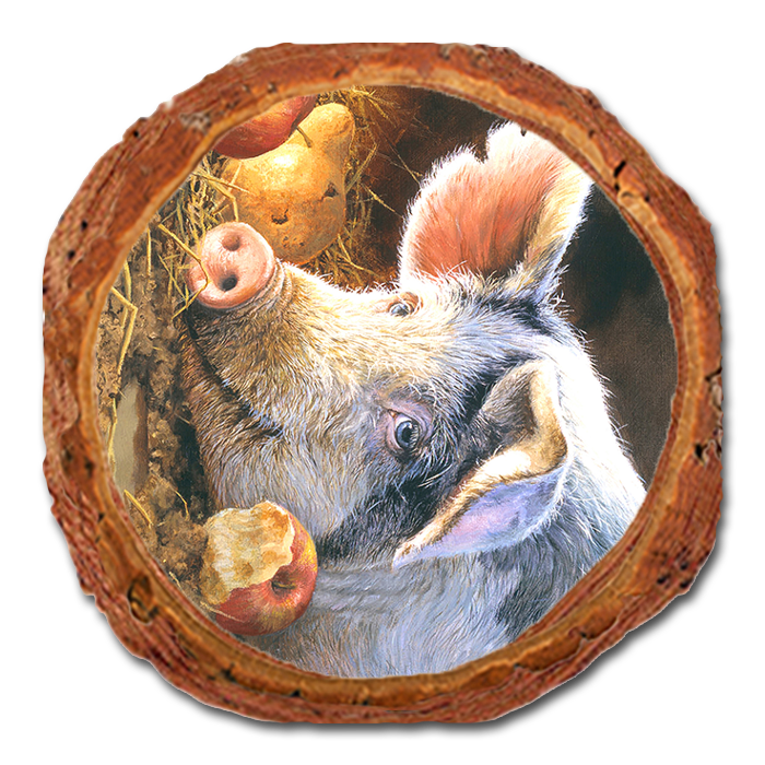 Coaster: Live Edge - Marris' Happy Pig