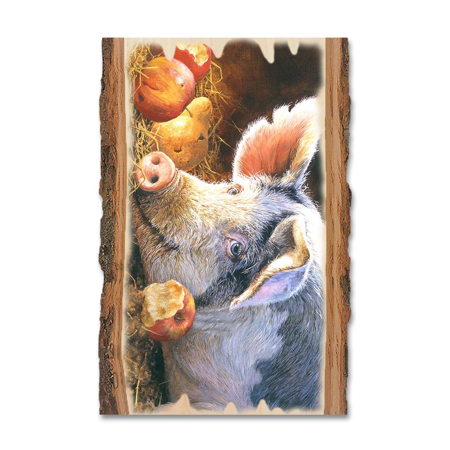 Postcard: Live Edge - Marris' Happy Pig