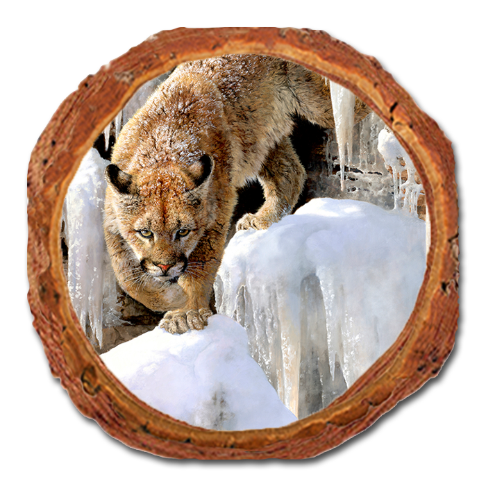 Coaster: Live Edge - Marris' Ice Princess