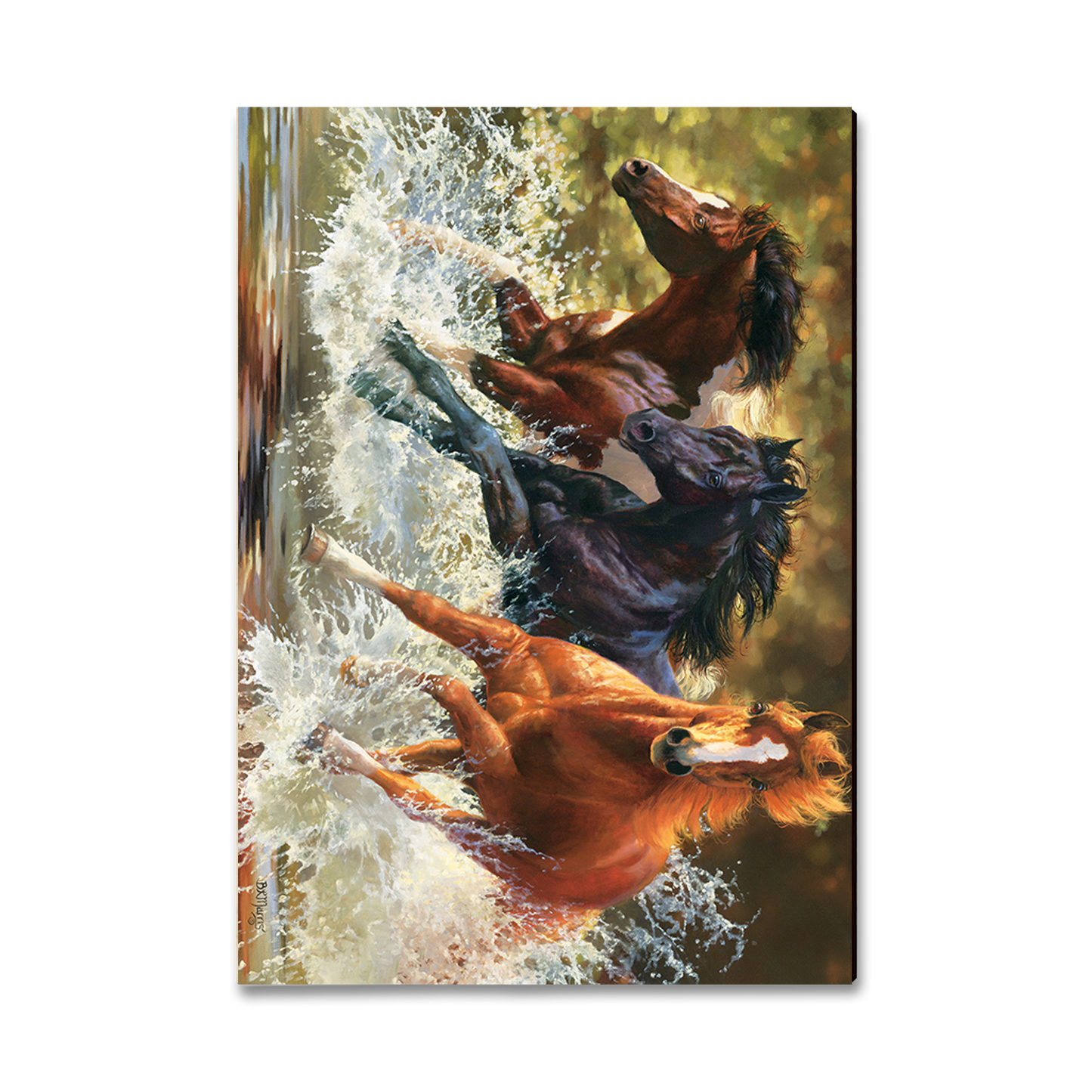 Magnet: Classic Edge - Marris' Splash Down