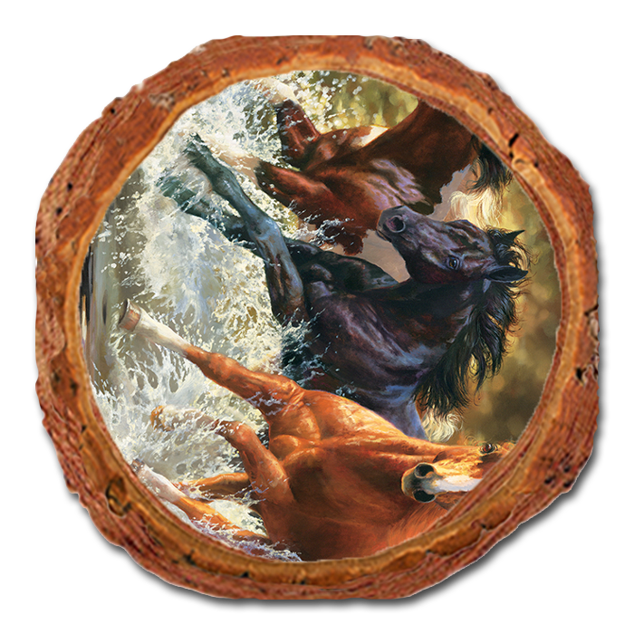 Coaster: Live Edge - Marris' Splash Down