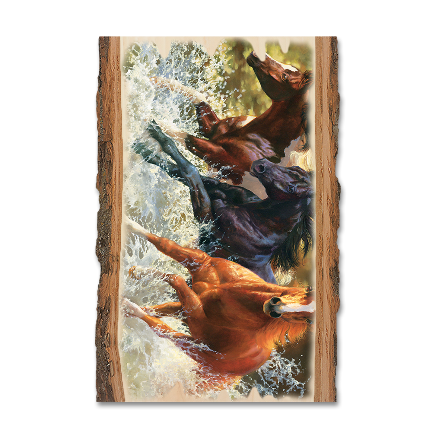 Greeting Card: Live Edge - Marris' Splash Down