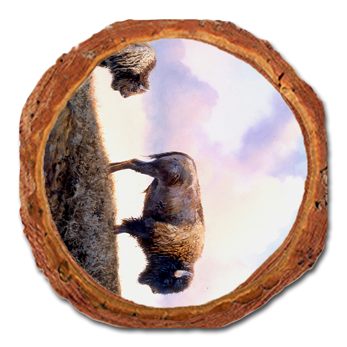 Coaster: Live Edge - Marris' Three Bison (Pack of 5)