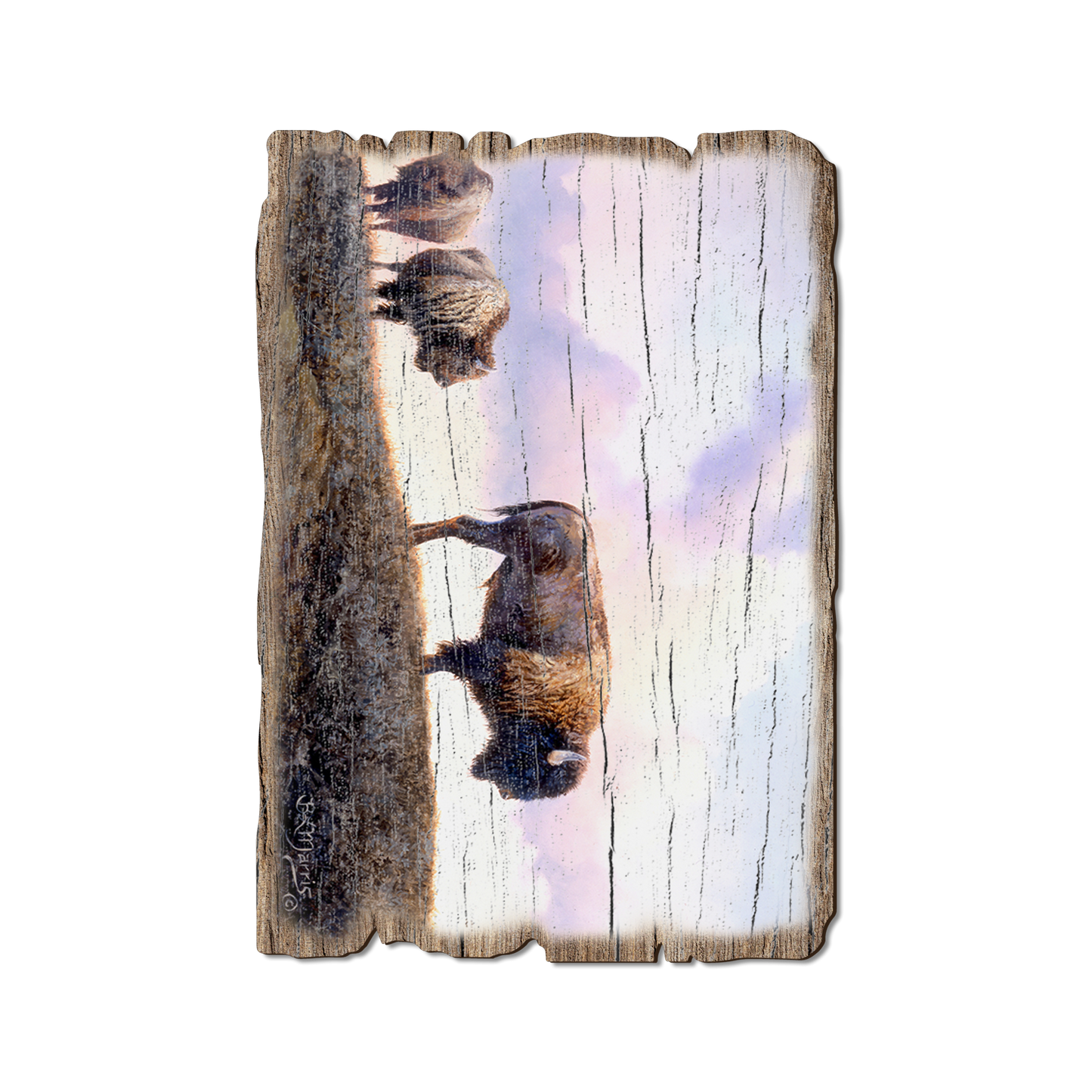 Greeting Card: Weathered Edge - Marris' Three Bison (Pack of 5)