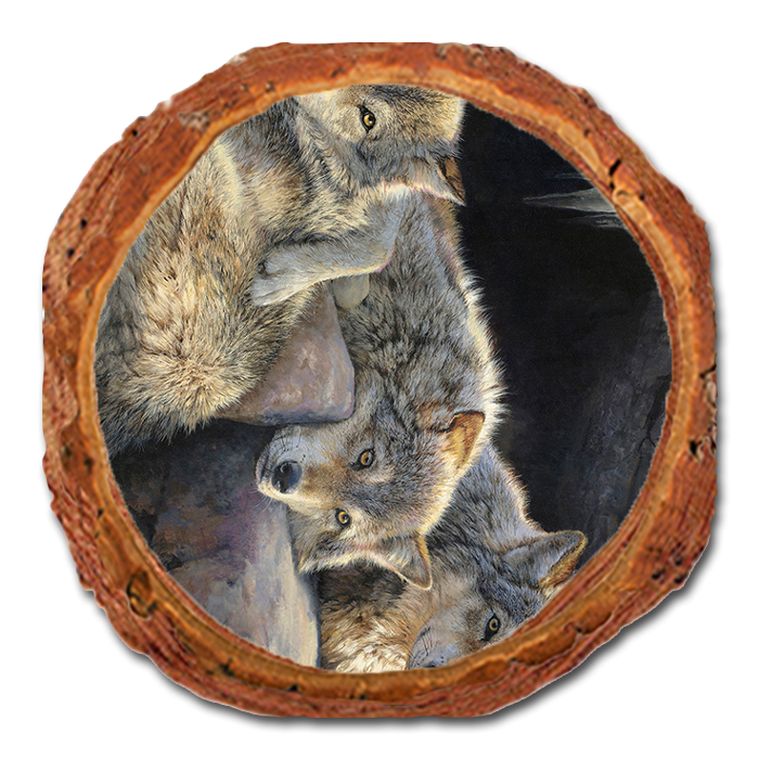 Coaster: Live Edge - Marris' Touch of Dusk (Pack of 5)