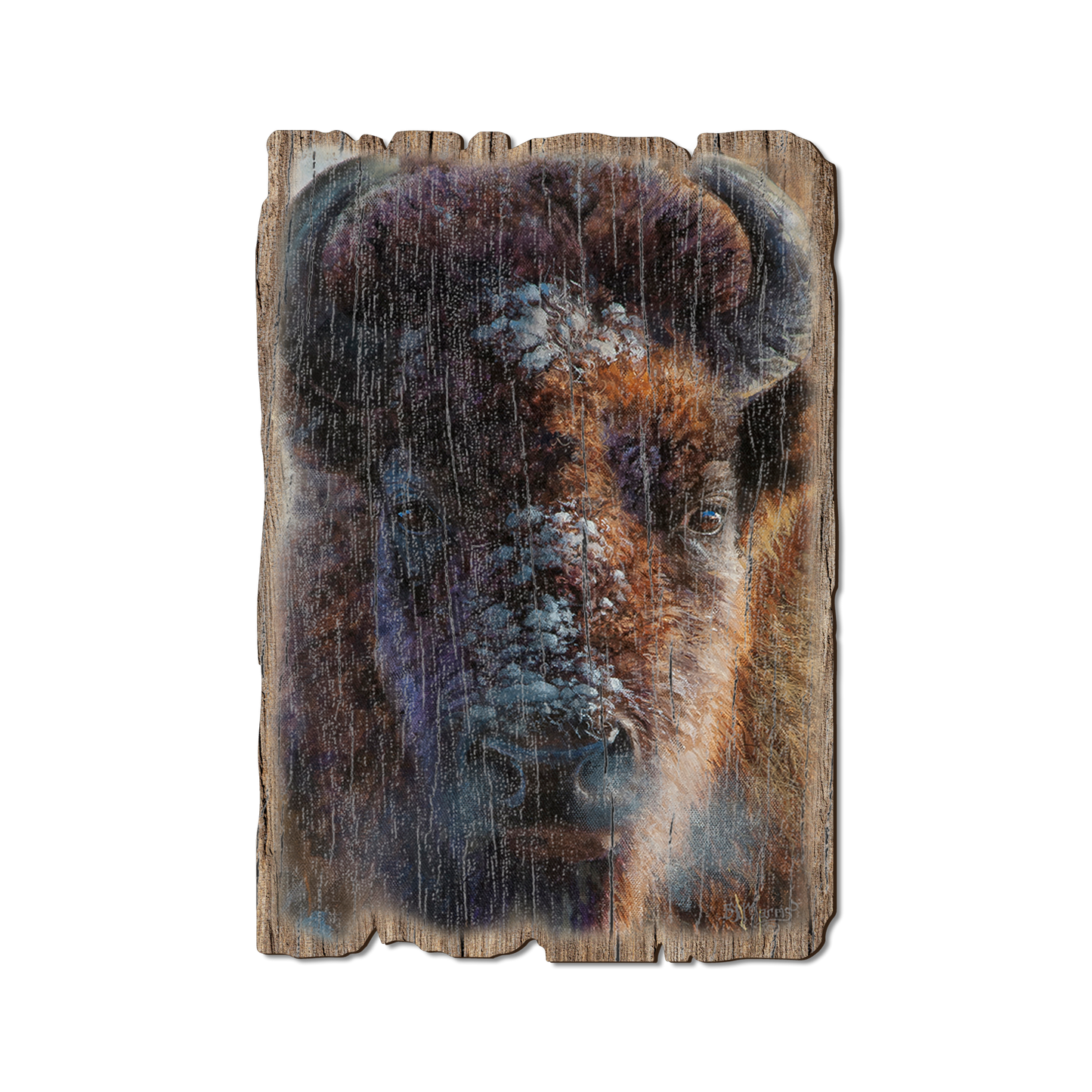 Postcard: Weathered Edge - Marris' Winter Buffalo