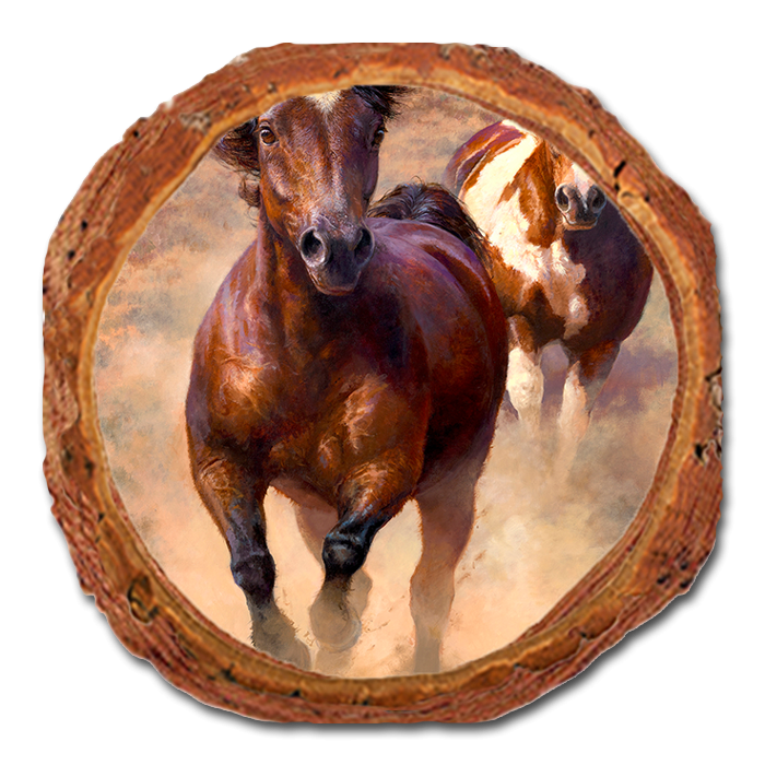 Coaster: Live Edge - Marris' Wide Open (Pack of 5)