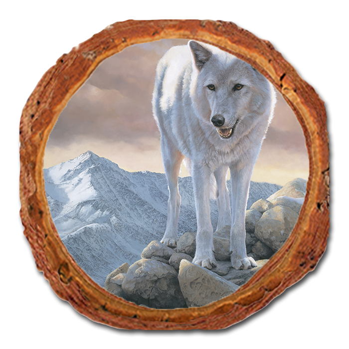Coaster: Live Edge - Marris' White Wolf (Pack of 5)