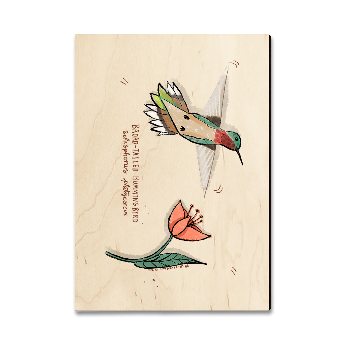 Postcard: Classic Edge - Broad