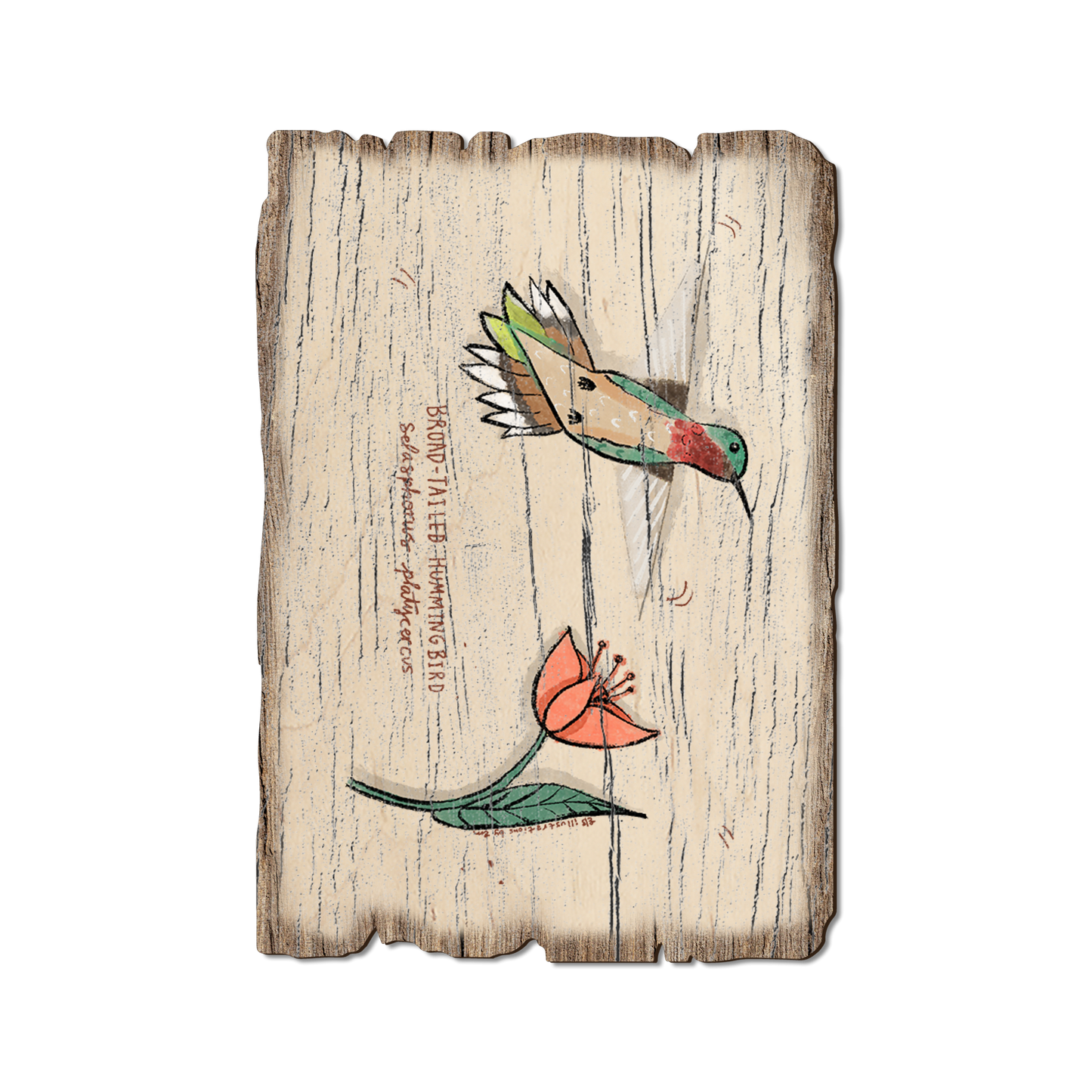 Postcard: Weathered Edge - Broad (Pack of 5)