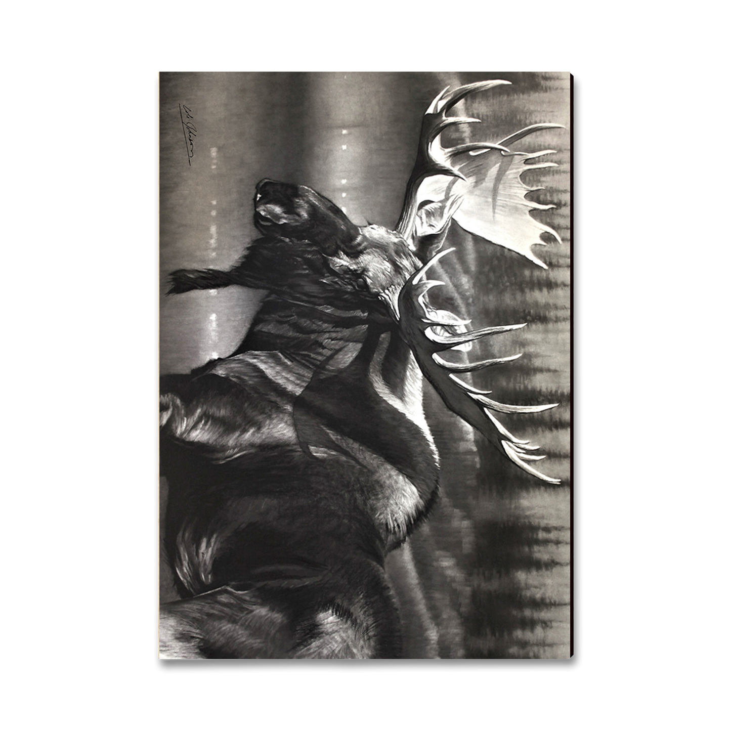 Greeting Card: Classic Edge - Johnson's Boreals Beast (Pack of 5)