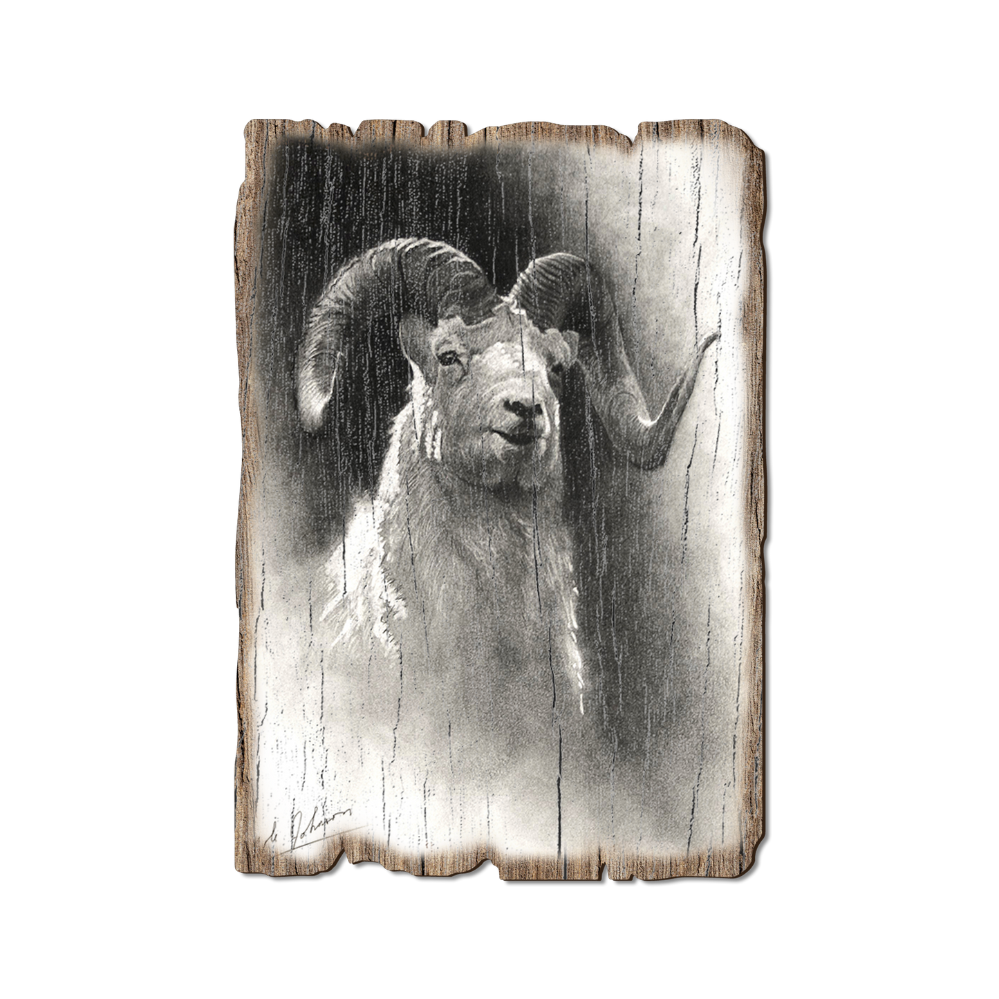 Greeting Card: Weathered Edge - Johnson's Dramatic Dall