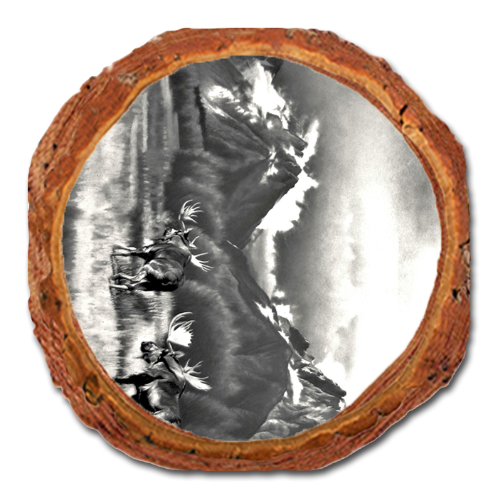 Coaster: Live Edge - Johnson's Homeward Bound (Pack of 5)