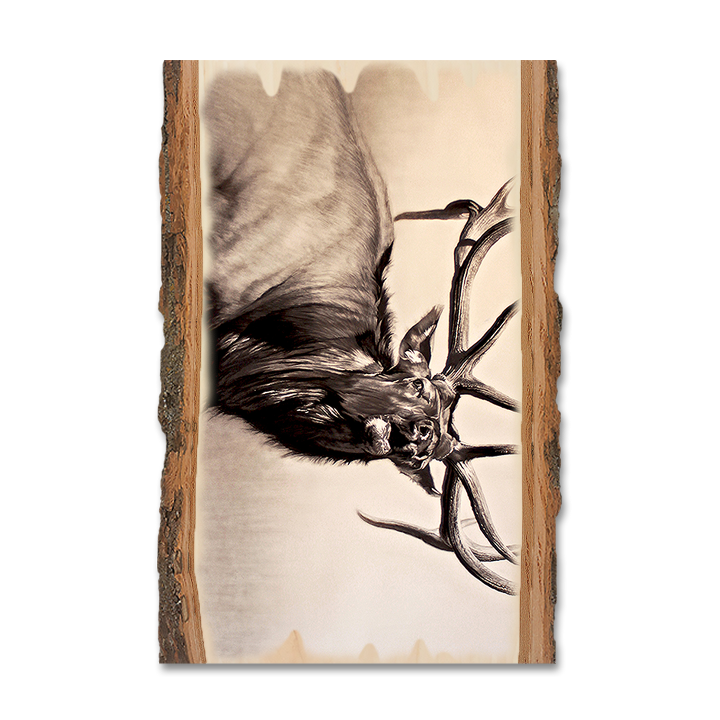 Ornament: Live Edge - Johnson's Herd Bull
