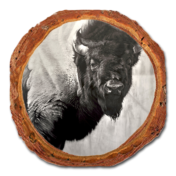 Coaster: Live Edge - Johnson's Icon Bison (Pack of 5)