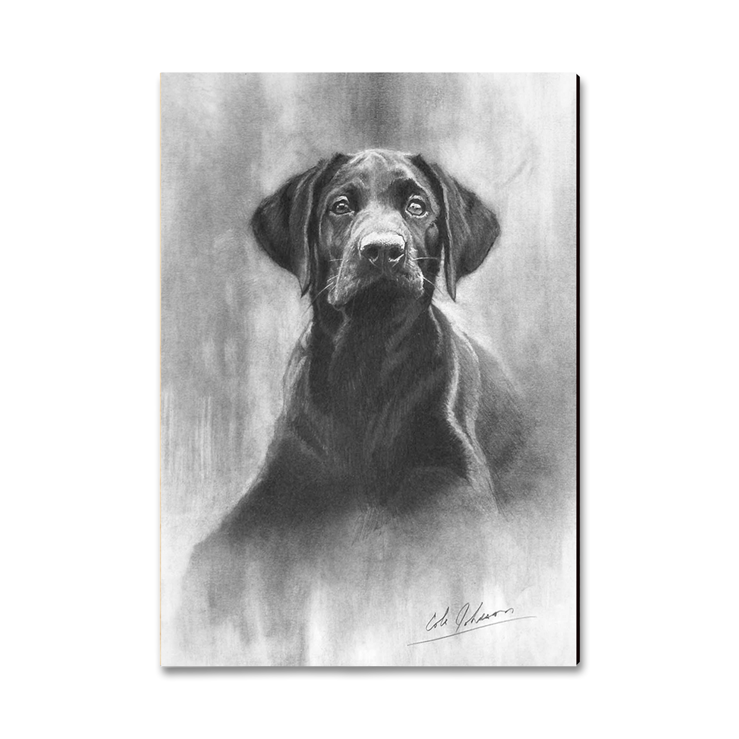 Postcard: Classic Edge - Johnson's Lab Pup
