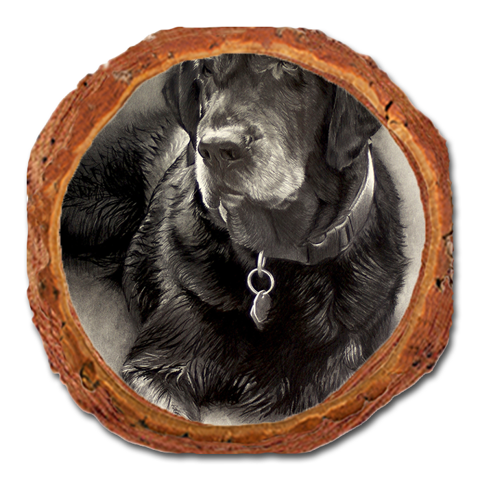 Coaster: Live Edge - Johnson's Old Lab