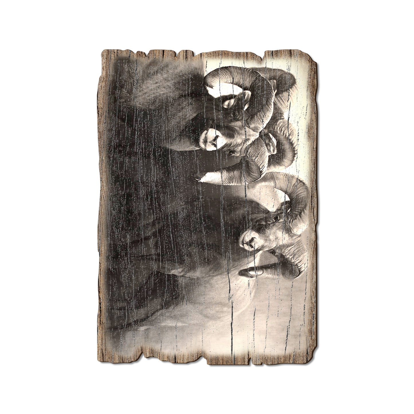Greeting Card: Weathered Edge - Johnson's On the Rocks