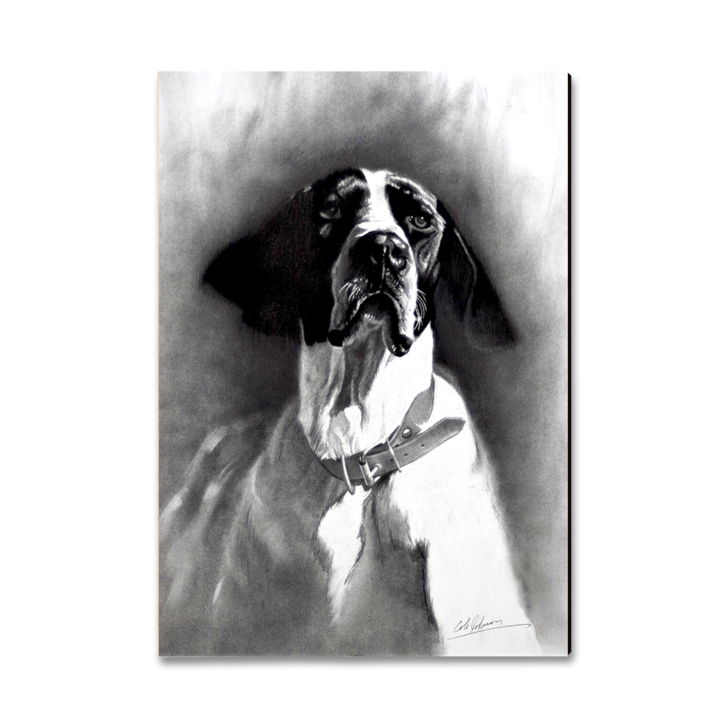 Greeting Card: Classic Edge - Johnson's Proud Pointer (Pack of 5)