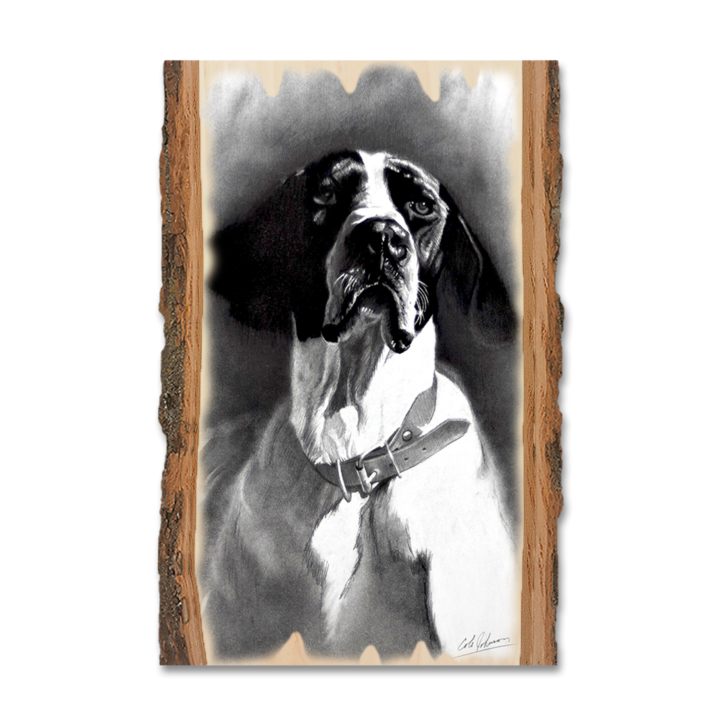 Magnet: Live Edge - Johnson's Proud Pointer